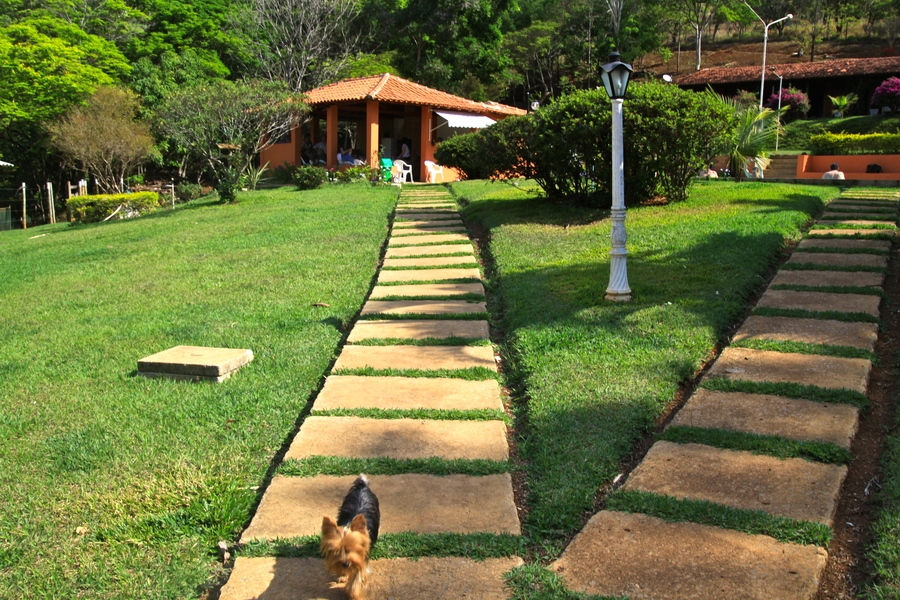 Sítio para aluguel em Belo Horizonte